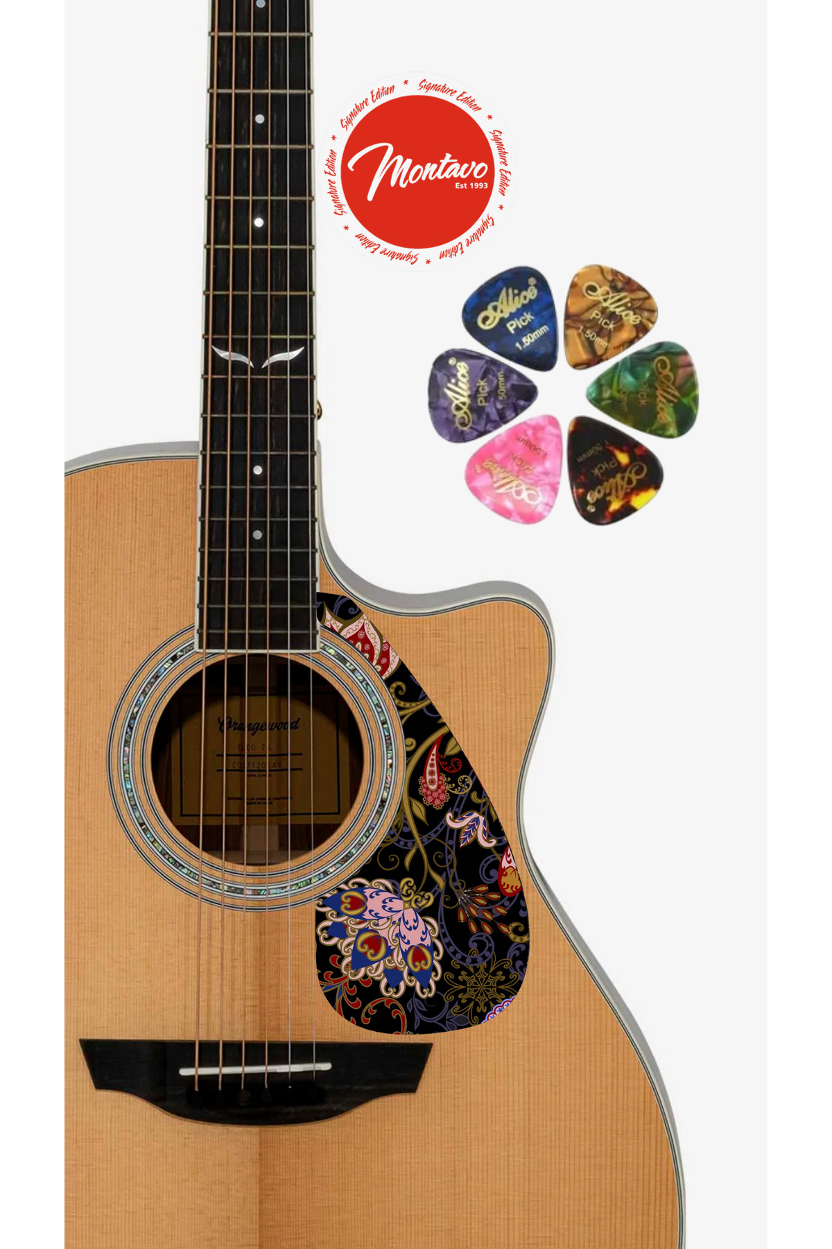 6'lı Gitar Penası + Pena Korumalığı Set