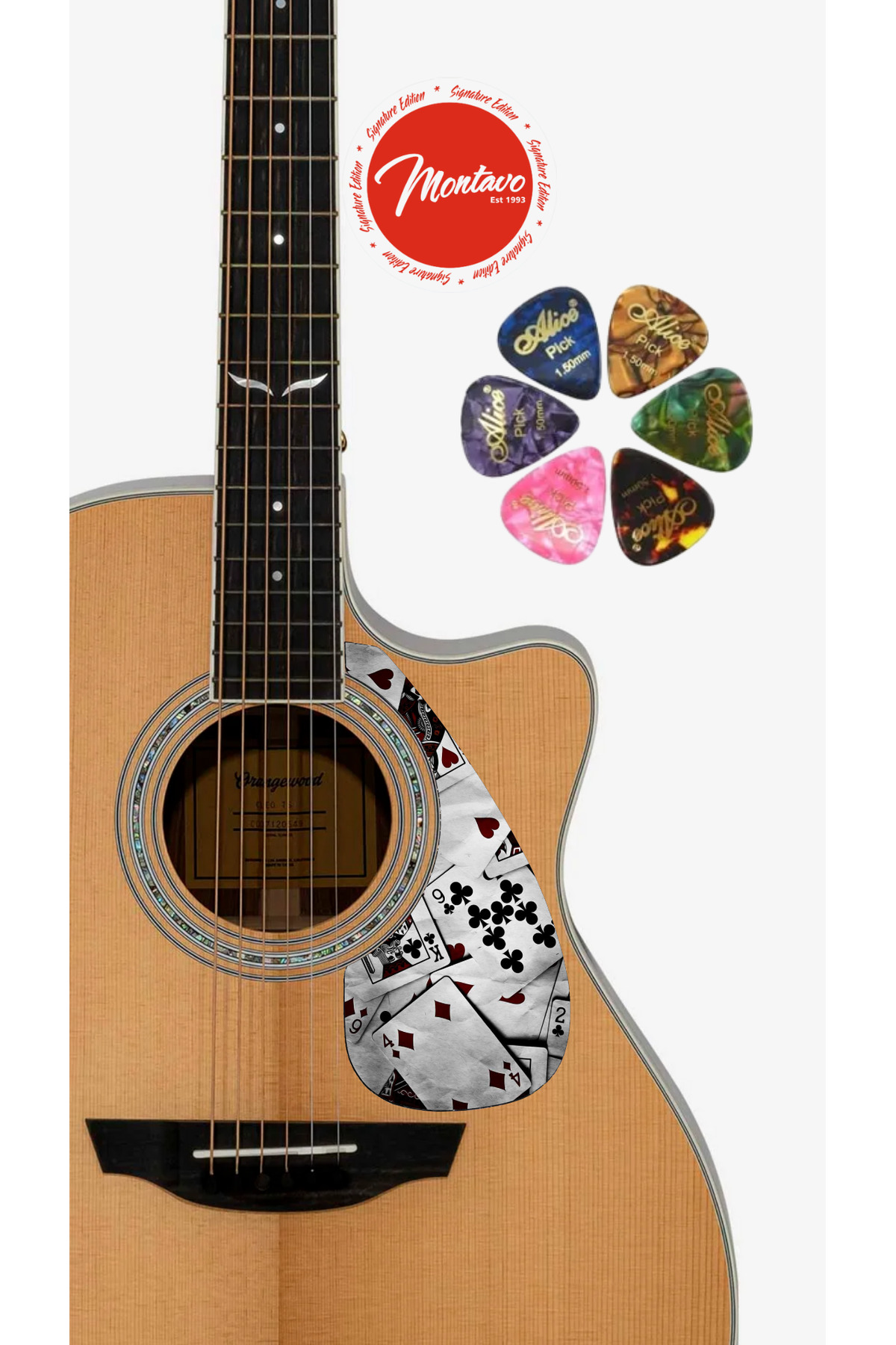 6'lı Gitar Penası + Pena Korumalığı Set