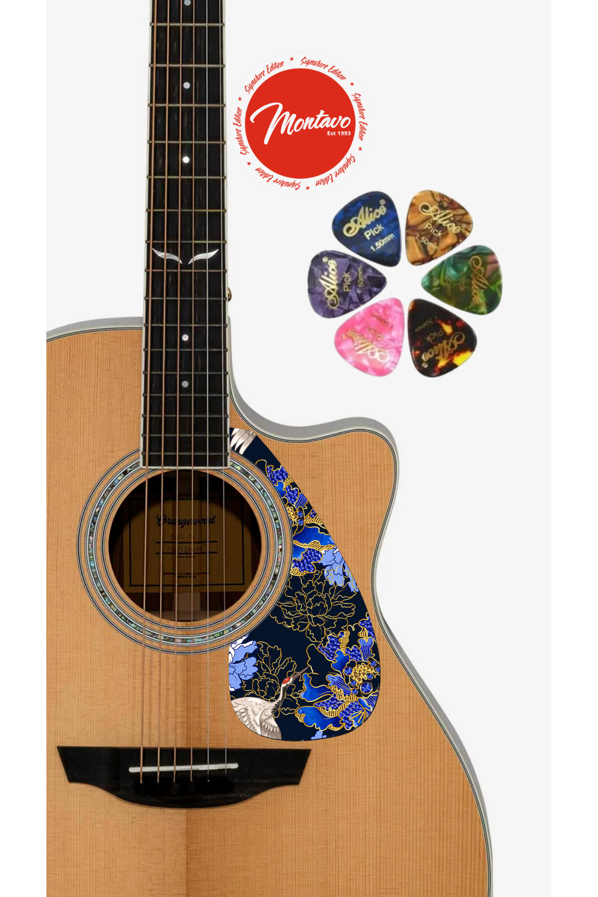 6'lı Gitar Penası + Pena Korumalığı Set