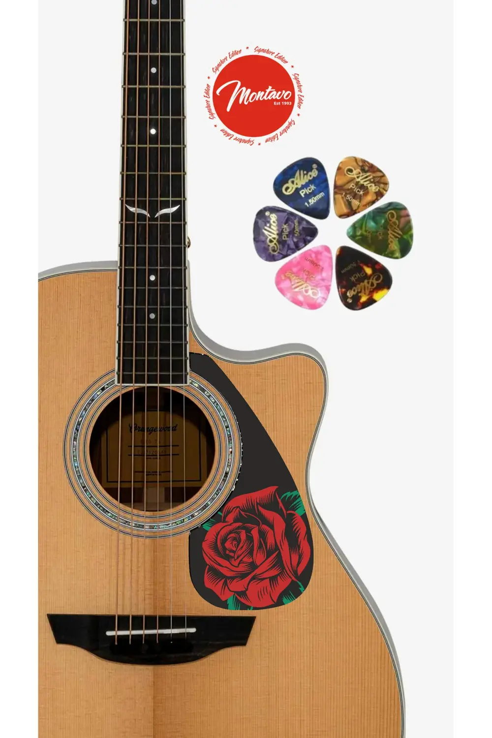 6'lı Gitar Penası + Pena Korumalığı Set