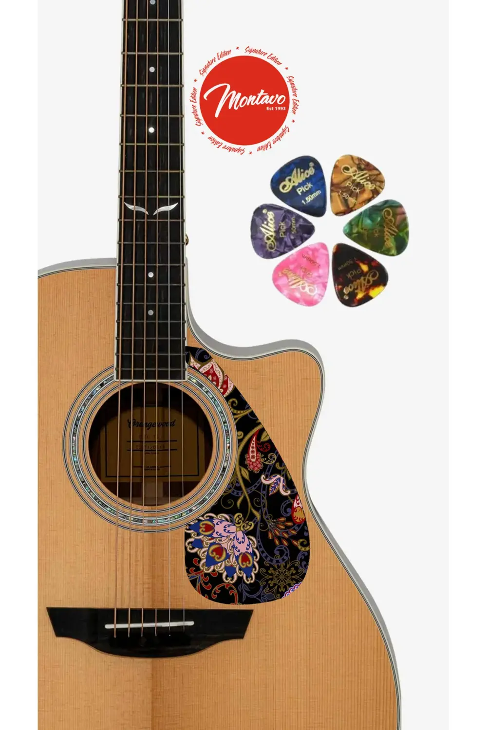 6'lı Gitar Penası + Pena Korumalığı Set