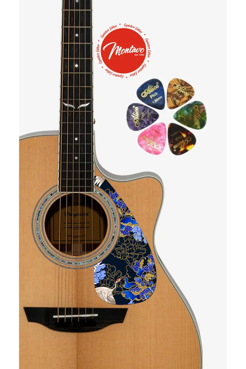 6'lı Gitar Penası + Pena Korumalığı Set