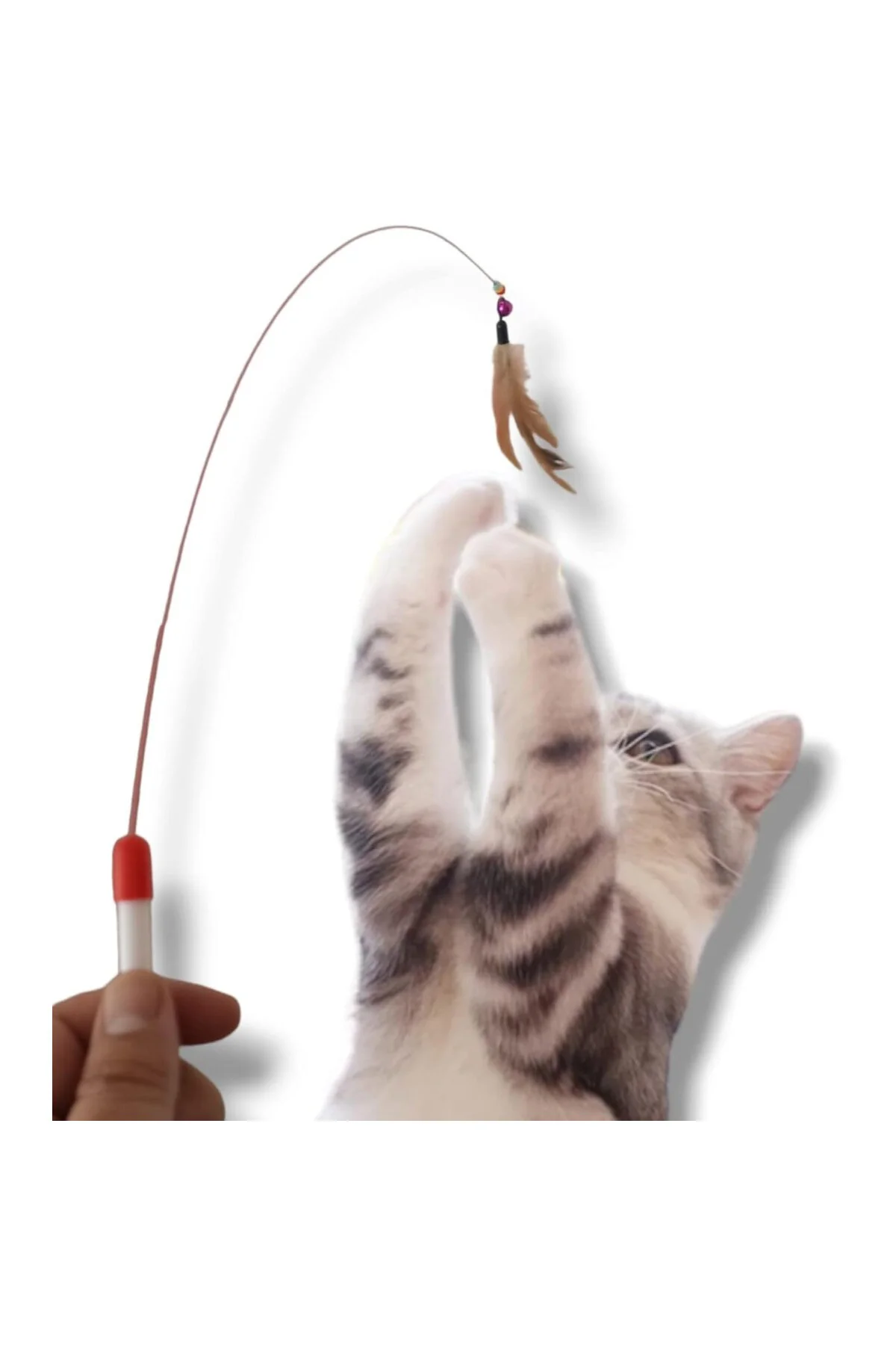 6'lı Kedi Çantası,Avokado Kedi Nanesi, Otomatik Temizlenen Kedi T
