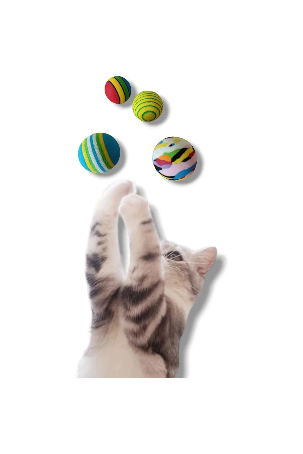 6'lı Kedi Çantası,Avokado Kedi Nanesi, Otomatik Temizlenen Kedi T