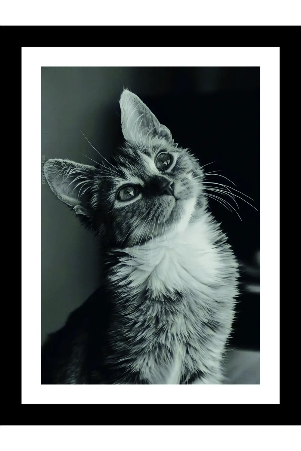 7 Parça Ev Dekarasyon Modern Arkası Yapışkanlı Kedi Dekor Ahşap M 7 Parça Ev Dekarasyon Modern Arkası Yapışkanlı Kedi Dekor Ahşap M
