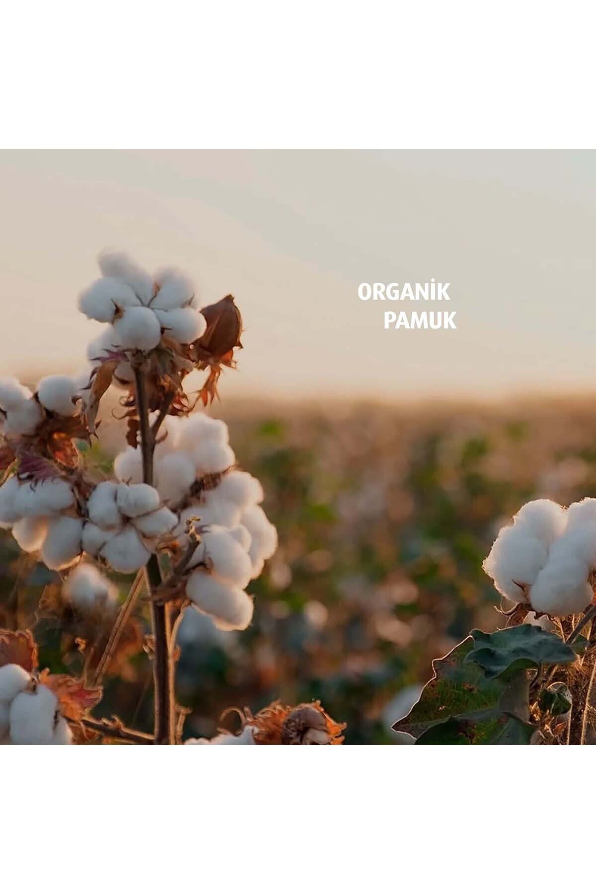 70'li Makyaj Pamuğu x4