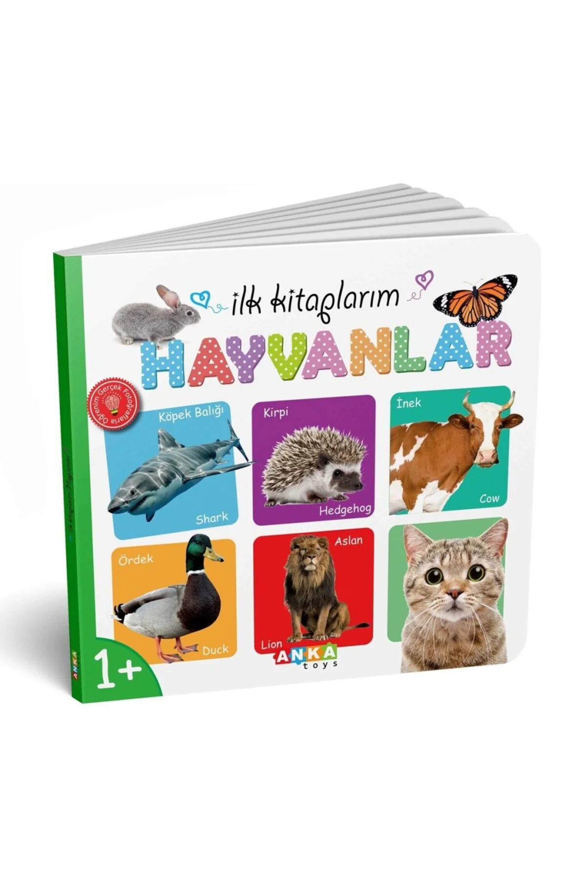 7202 İLK KİTAPLARIM 6LI SET