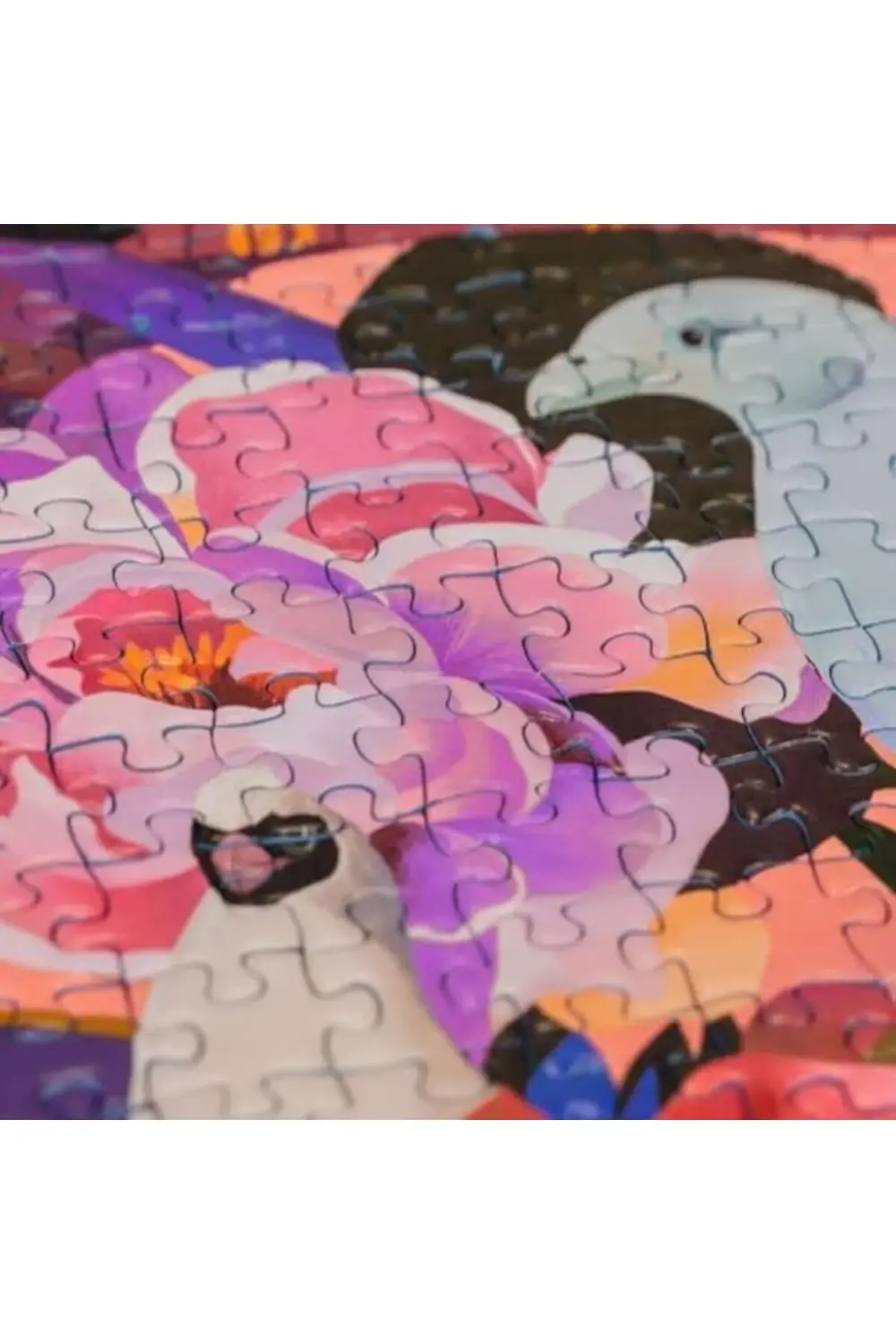 , 750p Puzzle Kuşlar, Yetişkin Puzzle 1178227