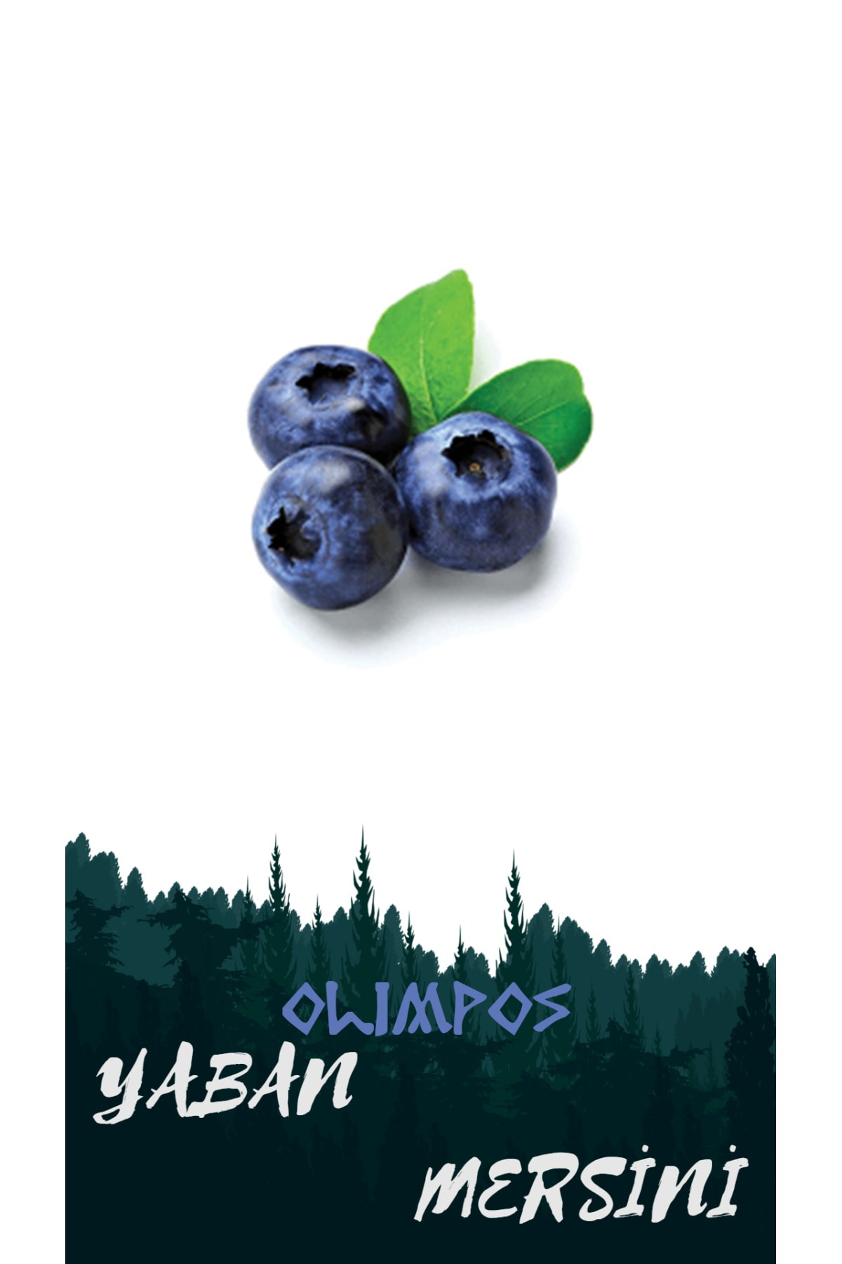 8 Adet Yaban Mersini - Blueberry (duke) Meyve Fidanı Tüplü