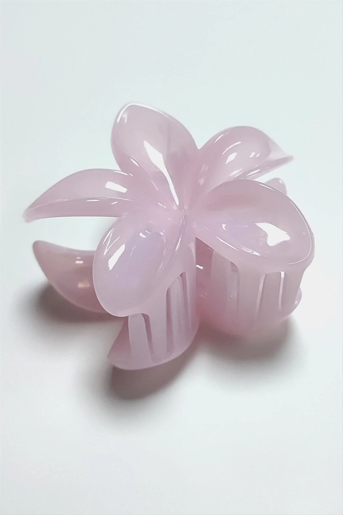 8 cm Lotus Toka