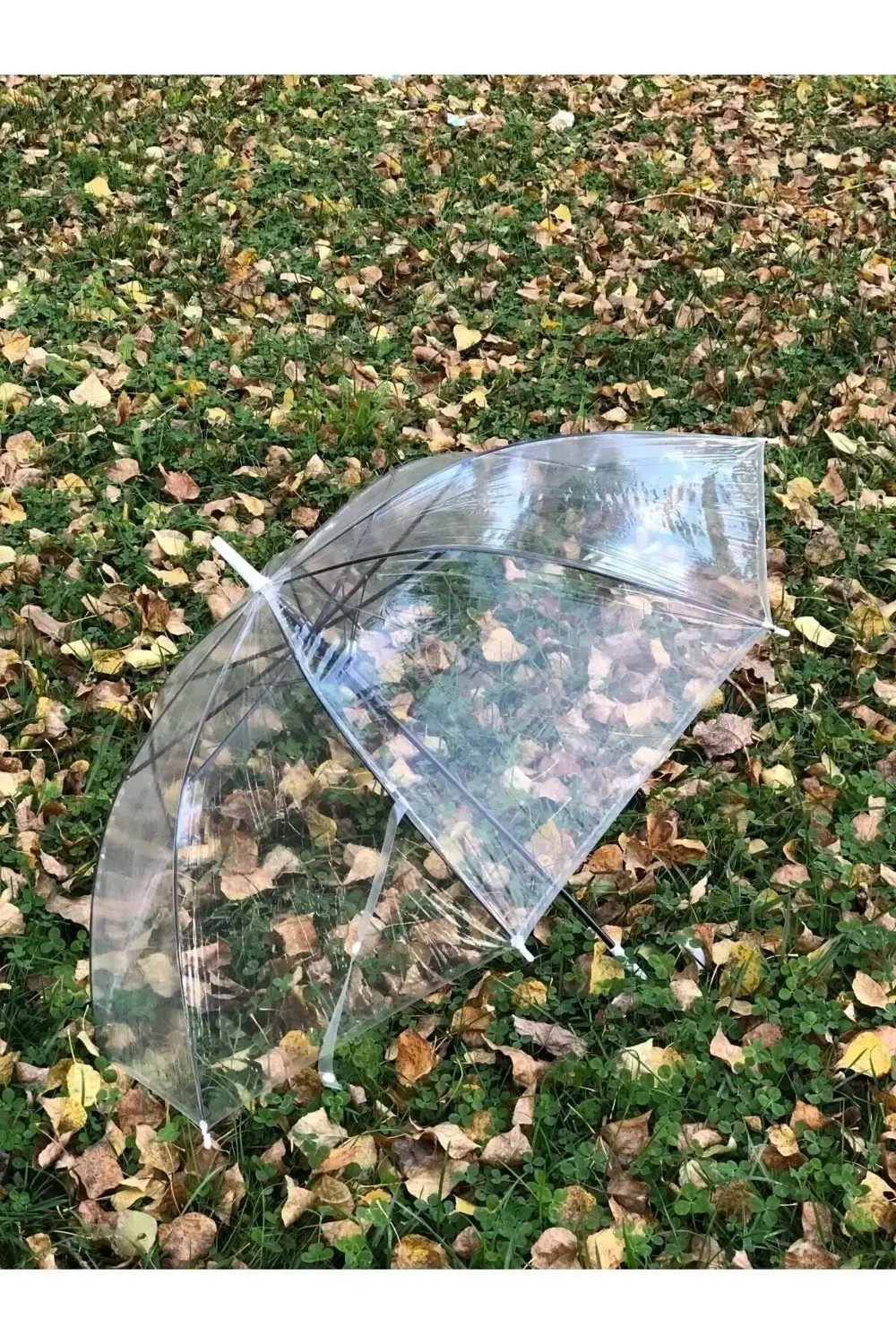 8 Telli Fiber Iskelet Otomatik Açılır Şeffaf Şemsiye, hafif ve da