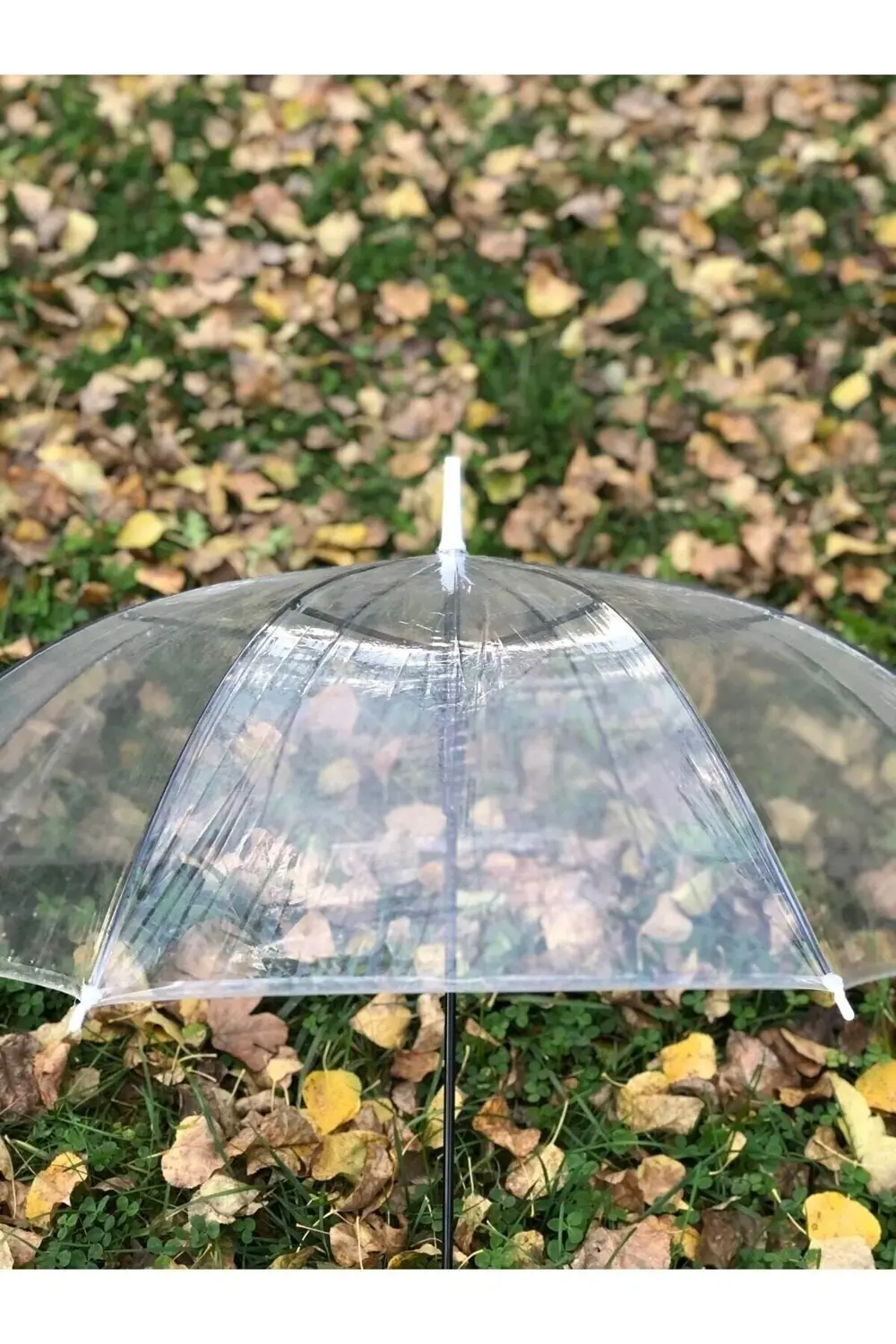 8 Telli Fiber Iskelet Otomatik Açılır Şeffaf Şemsiye, hafif ve da
