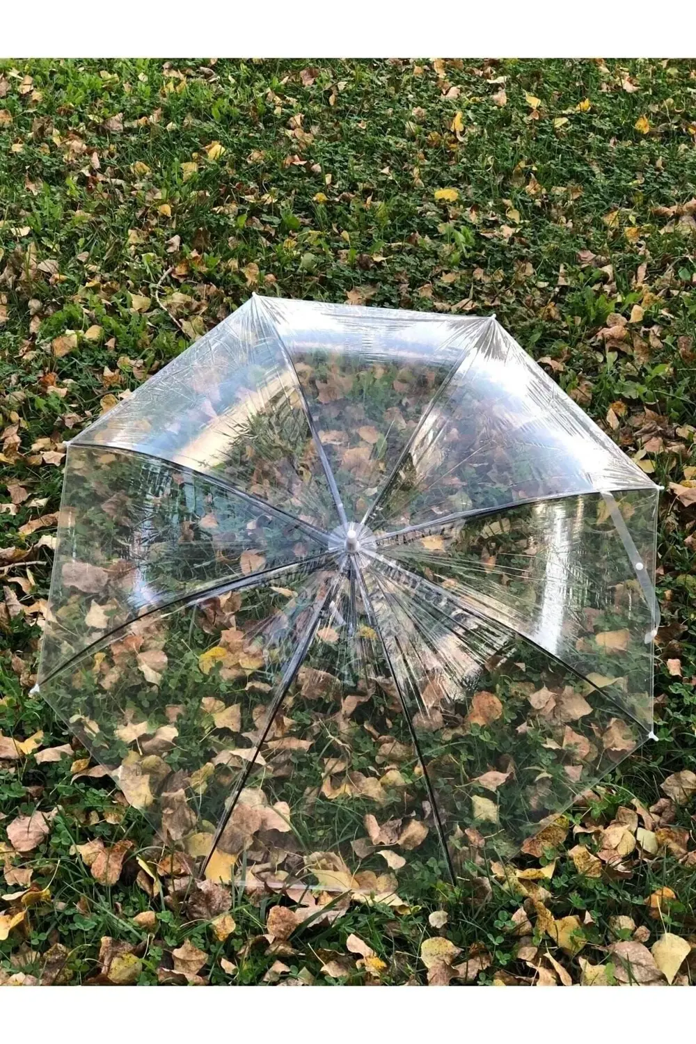 8 Telli Fiber Iskelet Otomatik Açılır Şeffaf Şemsiye, hafif ve da