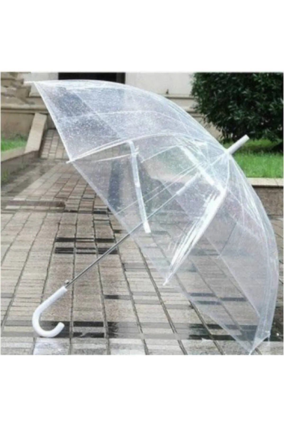 Bigift 8 Telli Şeffaf Şemsiye