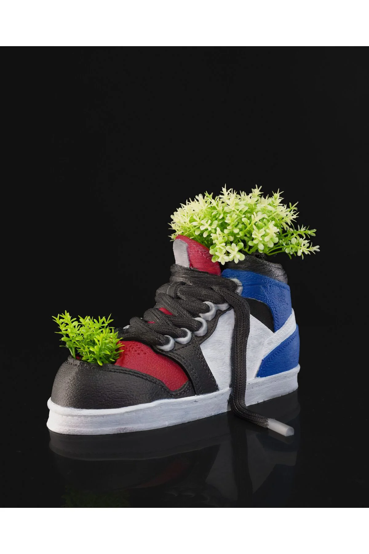 80’s Ayakkabı Saksı