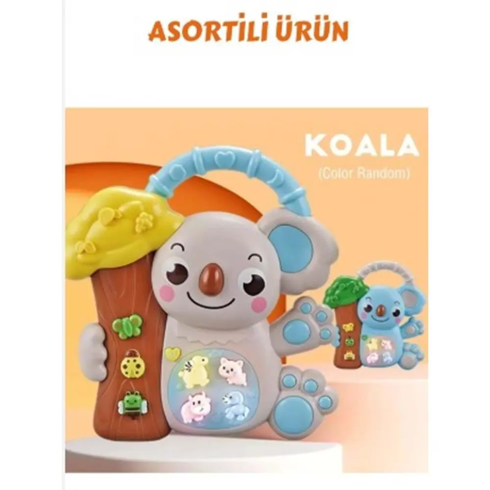 8808-C KOALALI PİYANO 8 Lİ BOX -CN
