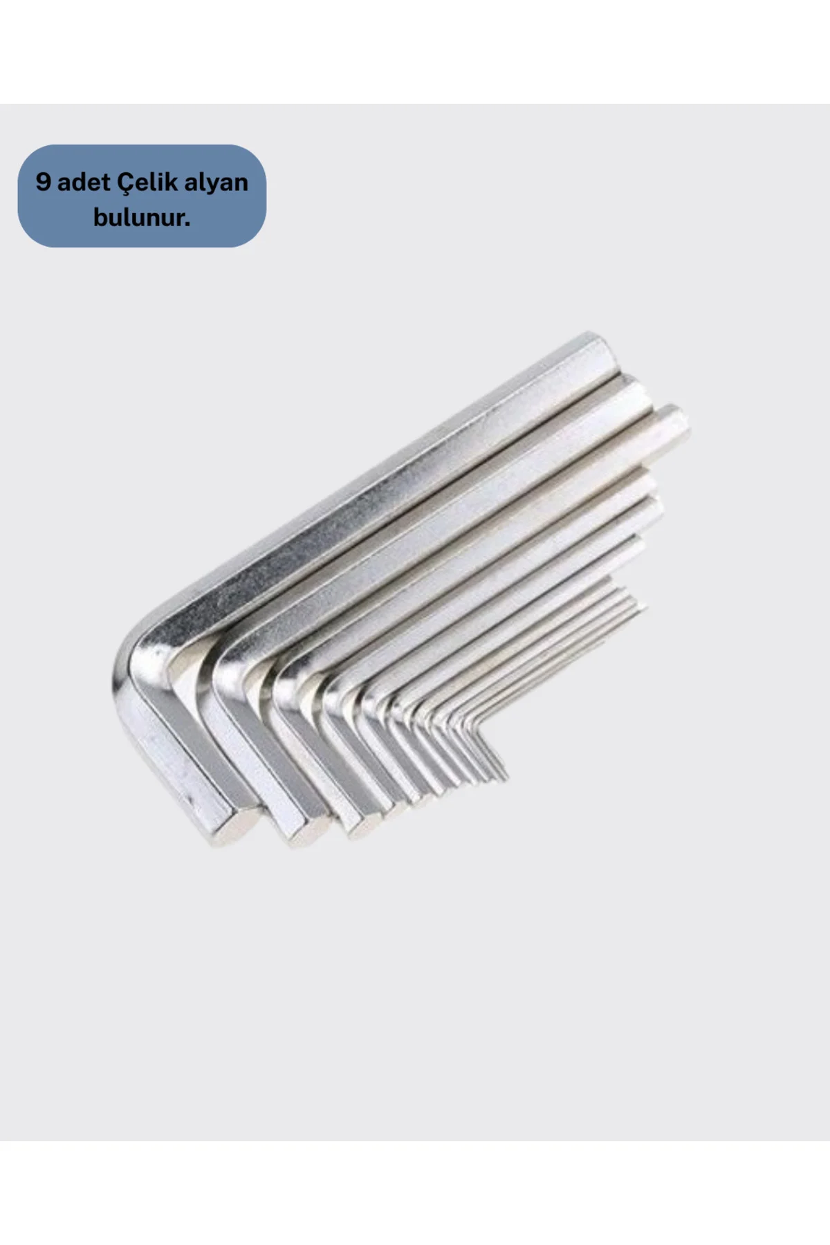 9 PARÇA ALYAN SETİ - Lisinya