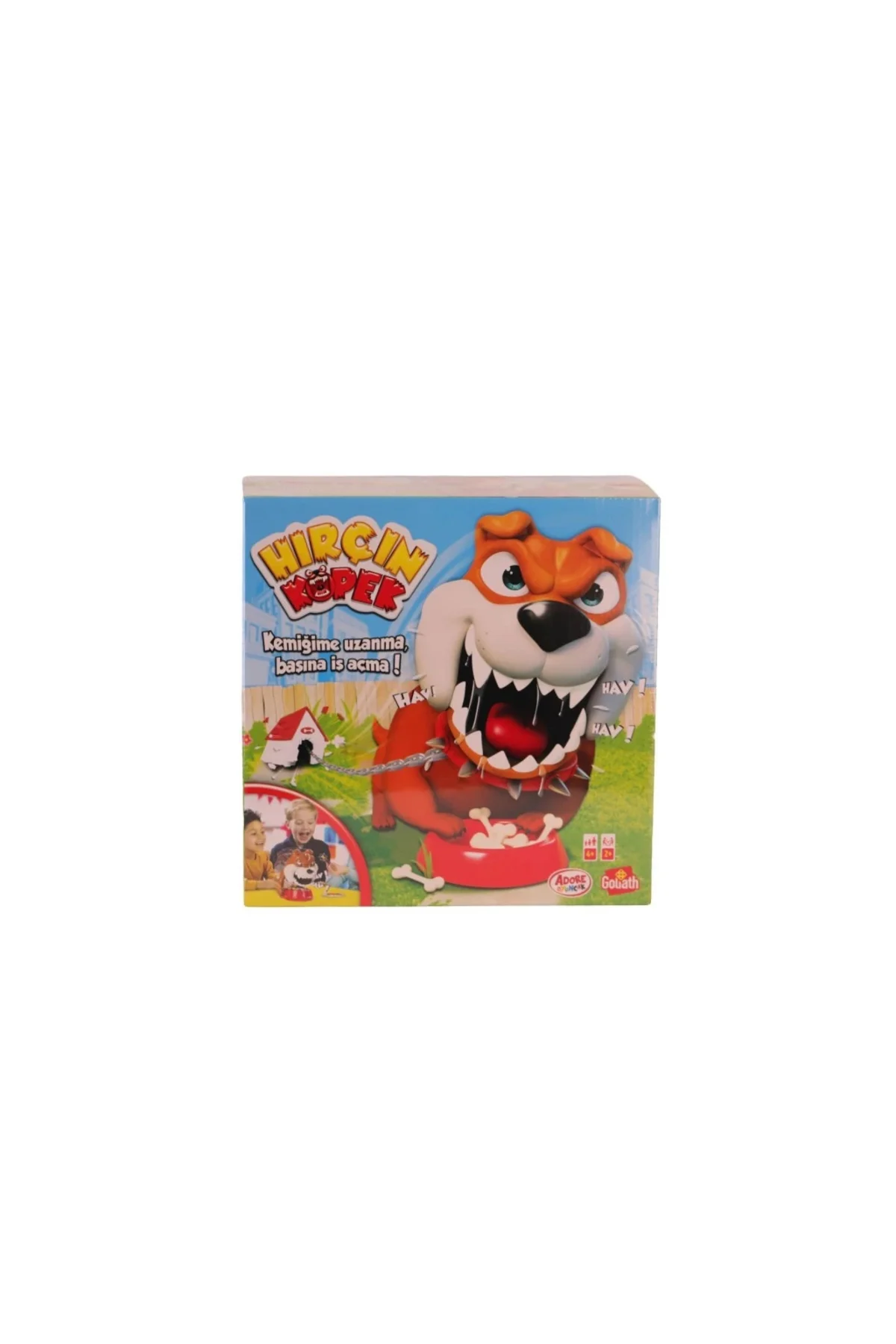 934287 Goliath Hırçın Köpek +4 yaş