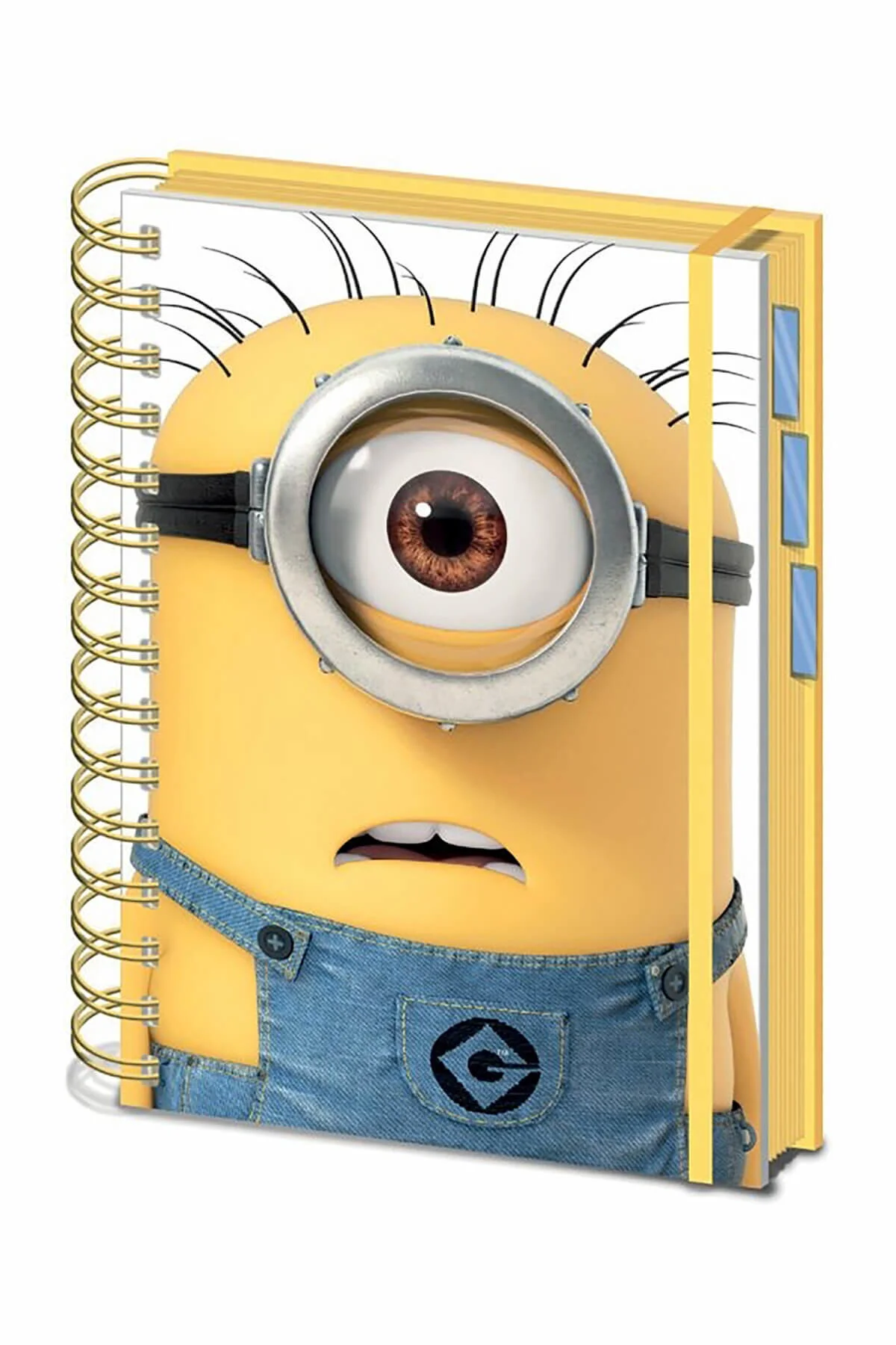 A5 Proje Defteri Despicable Me SR71860