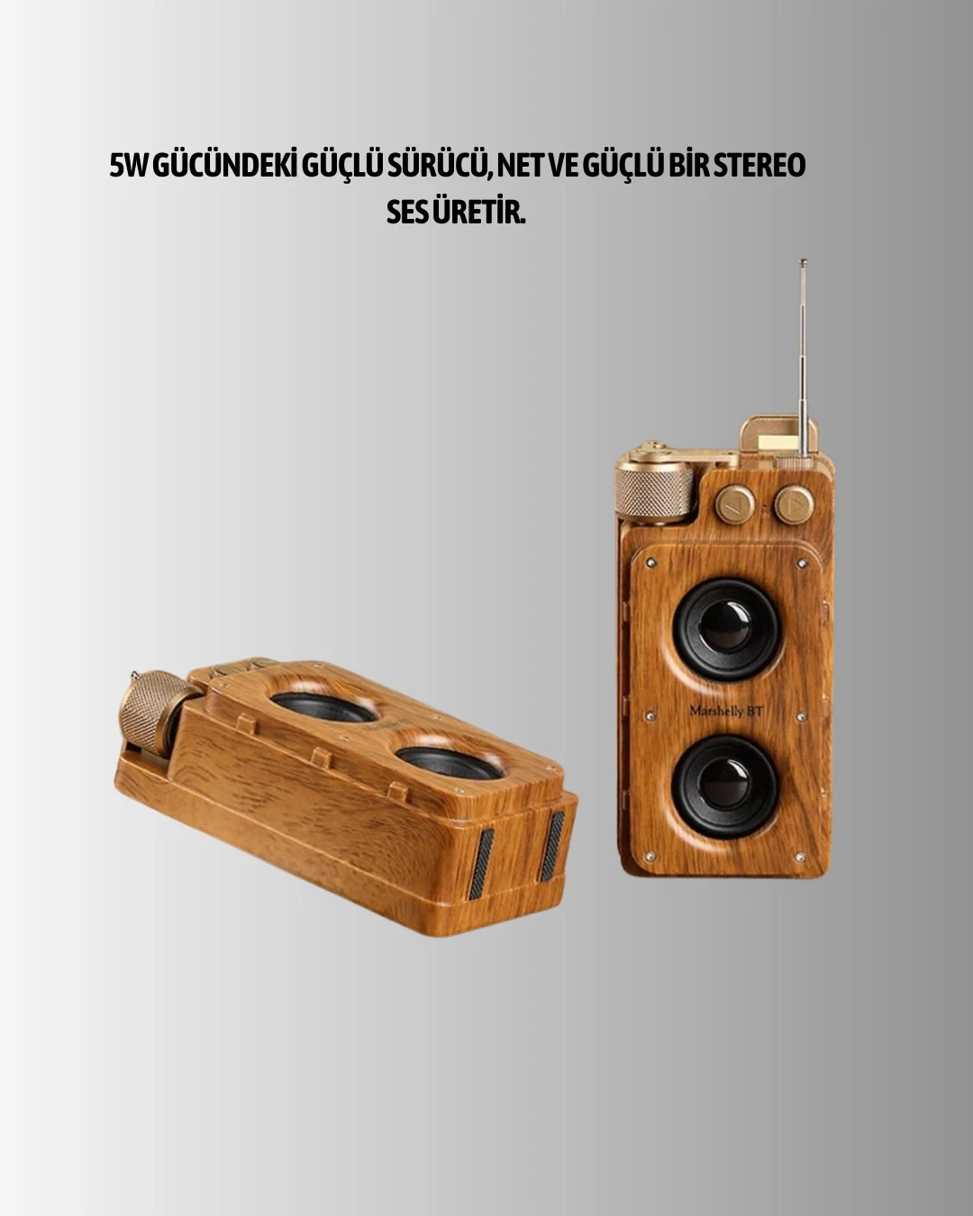 A8 SPEAKER Fiyatı, Yorumları ve Özellikleri