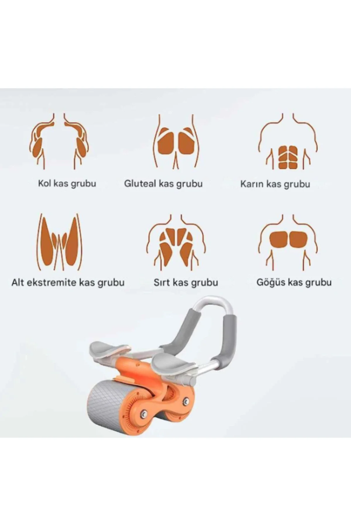 AB Roller Karın Kası Egzersiz Tekerleği
