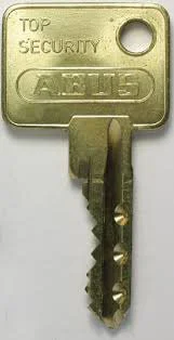 Abus 45 Mm 3 Anahtarlı Saten Silindir