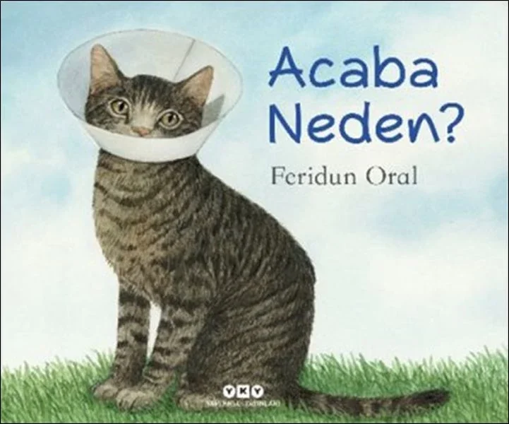 Acaba Neden? Fiyatı, Yorumları ve Özellikleri