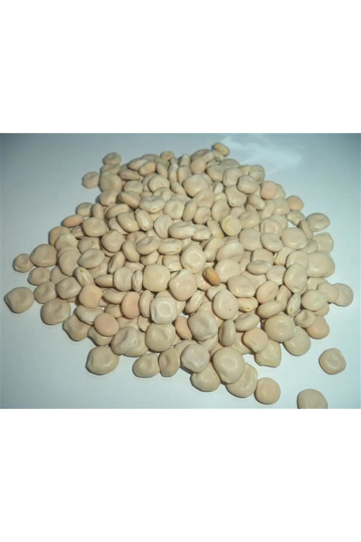 Acı Bakla-termiye-yahudi Baklası 100 GR Acı Bakla-termiye-yahudi Baklası 100 GR