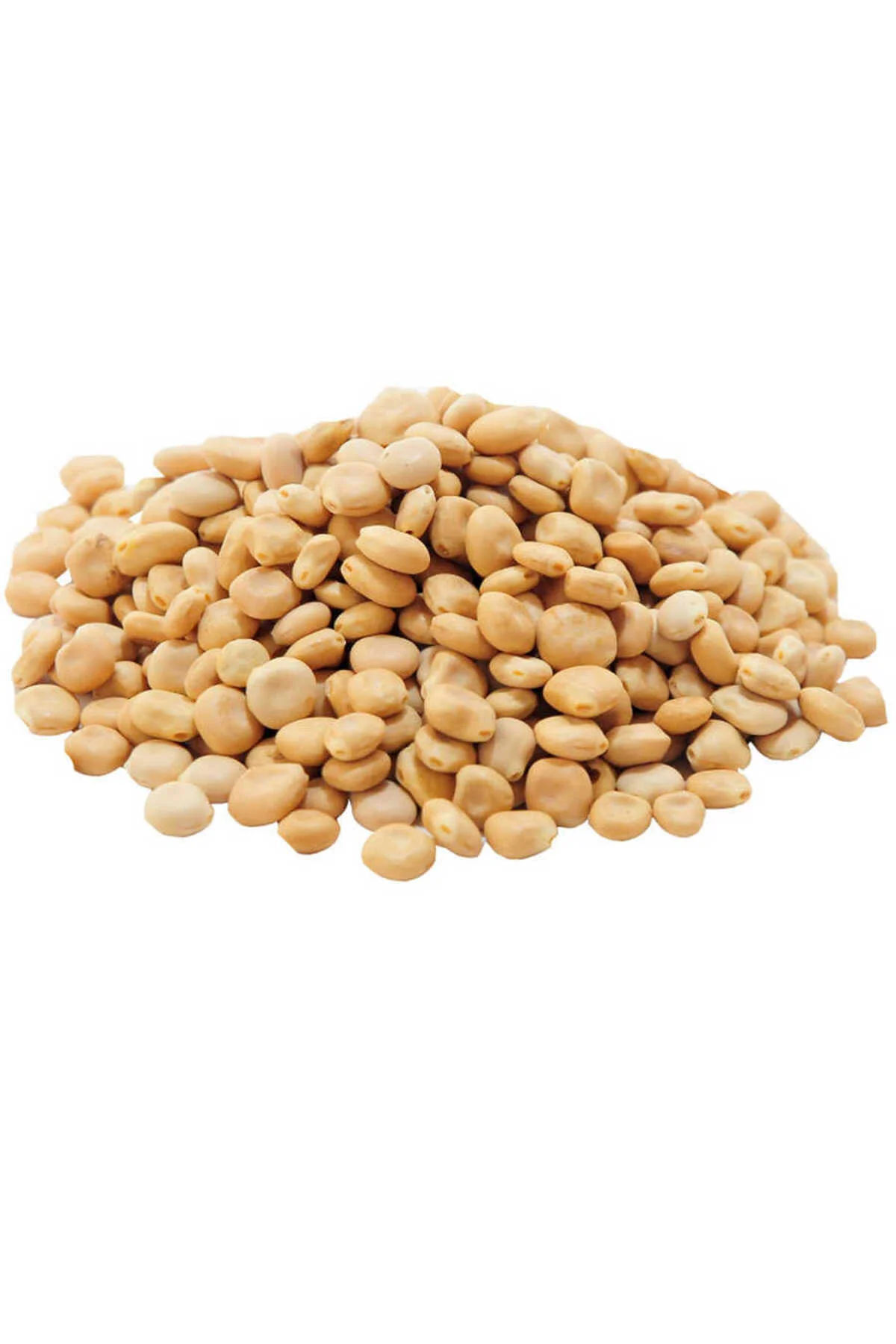 Acı Bakla Tohumu Yahudi Baklası Doğal 50 Gr Paket