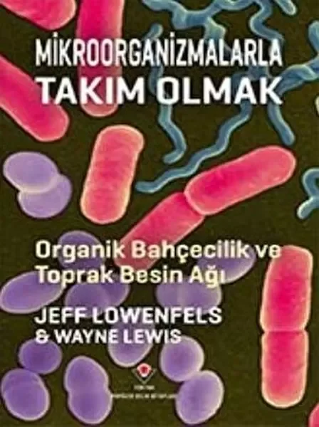 Acil Deneme Deposu Ayt Logaritma Diziler Konu Denemeleri Acil Deneme Deposu Ayt Logaritma Diziler Konu Denemeleri