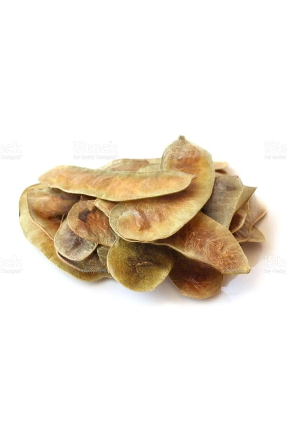 Açlık Otu 50 gr