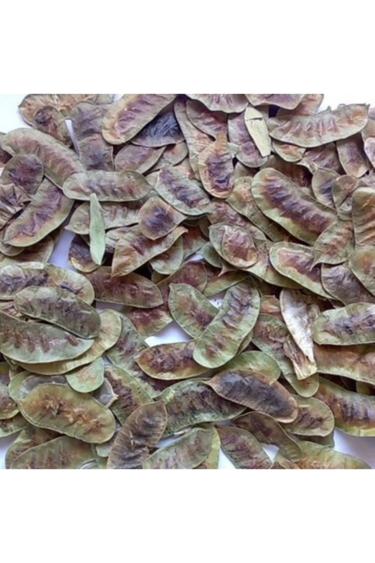 Açlık Otu(kara Sinameke) 40 Gr Fiyatı, Yorumları ve Özellikleri