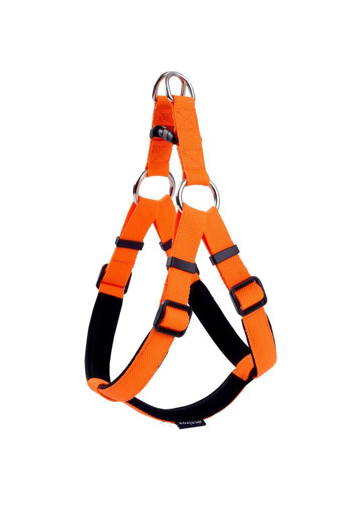 Actirex Neon Ayarlanır Köpek Gövde Tasması Orange L 15-20 Kg Olan