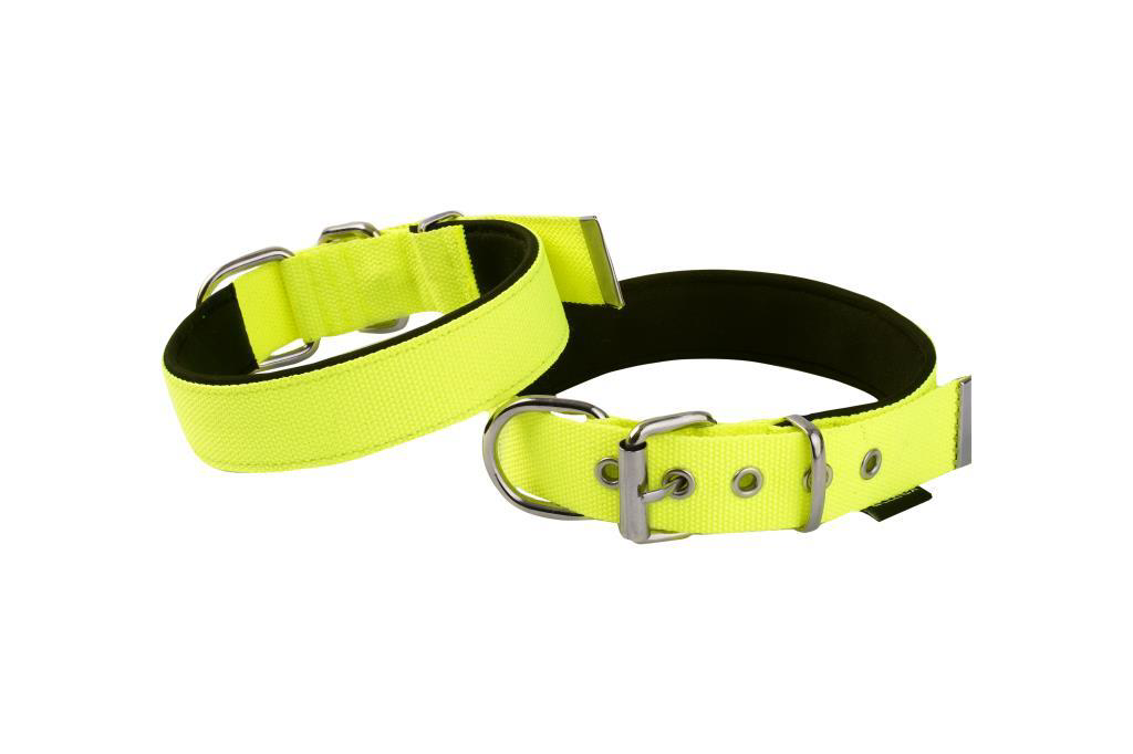 Actirex Neon Yumuşak Doku Köpek Boyun Tasma Yellow Medium 1,5cmx3