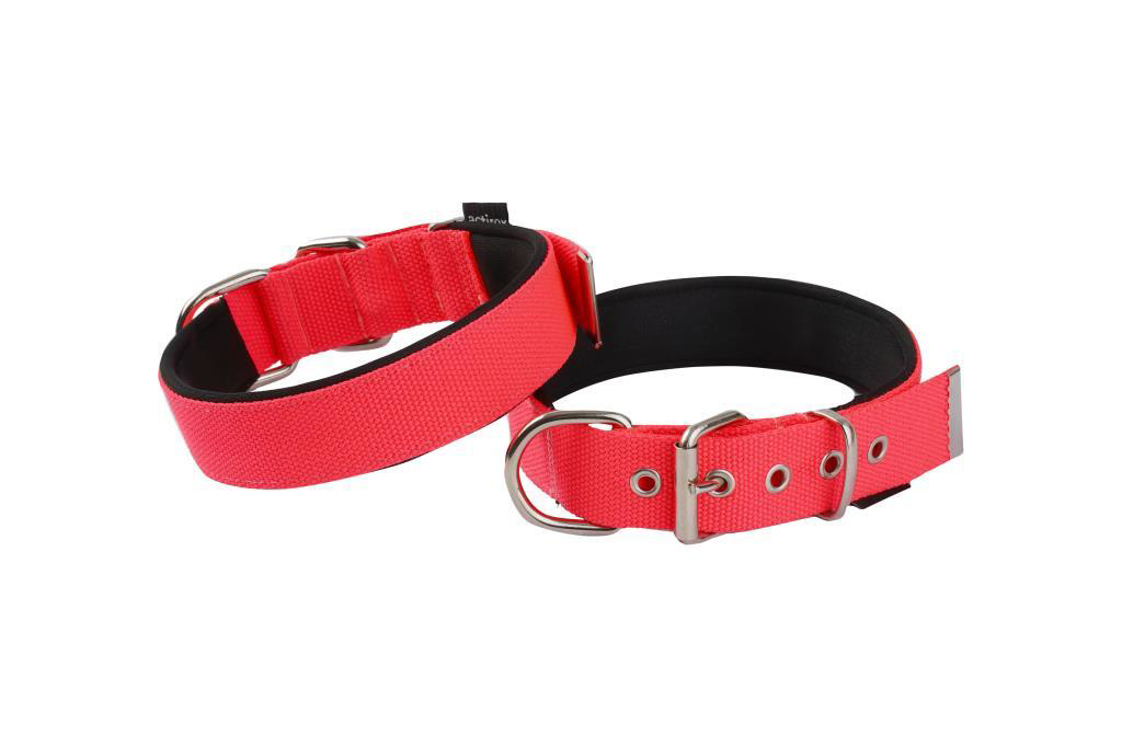 Actirex  Neon Yumuşak Doku Köpek Boyun Tasma Red Medium 2.5Cmx57cm