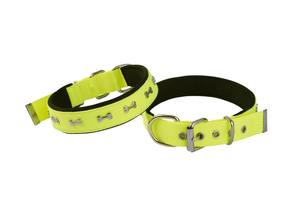 Actirex Neon Yumuşak Doku Kemik Desenli Köpek Boyun Tasma Yellow Actirex Neon Yumuşak Doku Kemik Desenli Köpek Boyun Tasma Yellow