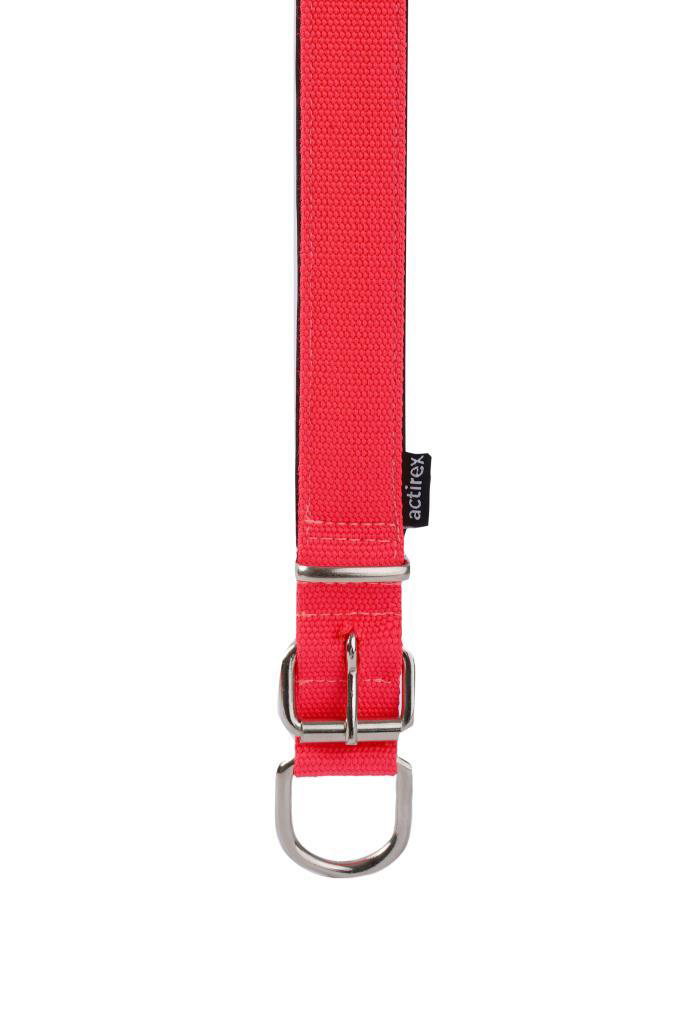 Actirex Neon Yumuşak Doku Köpek Boyun Tasma Red Medium 1,5cmx38cm Actirex Neon Yumuşak Doku Köpek Boyun Tasma Red Medium 1,5cmx38cm