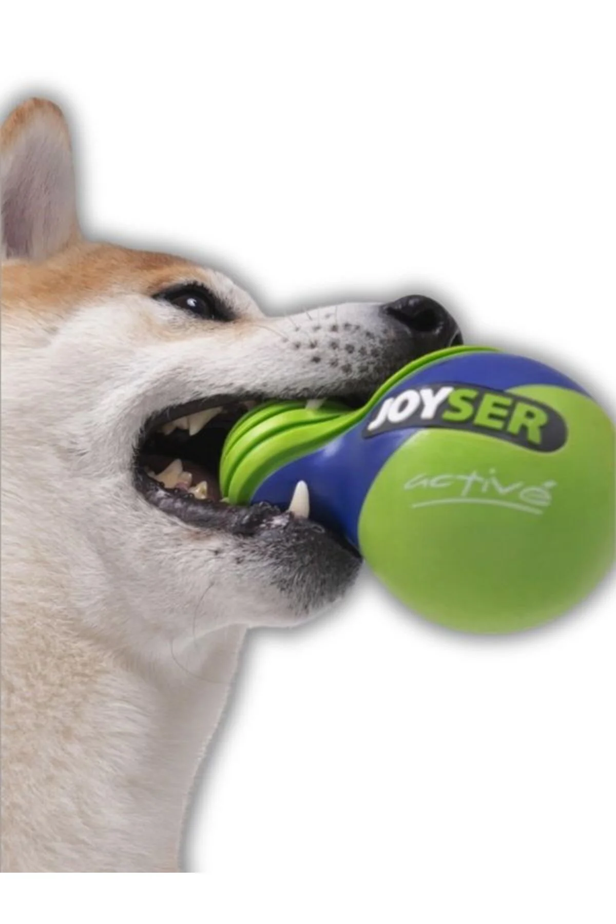 Active Duo Ball Köpek Oyuncak Topu JYS-7167 Fiyatı, Yorumları ve Özellikleri