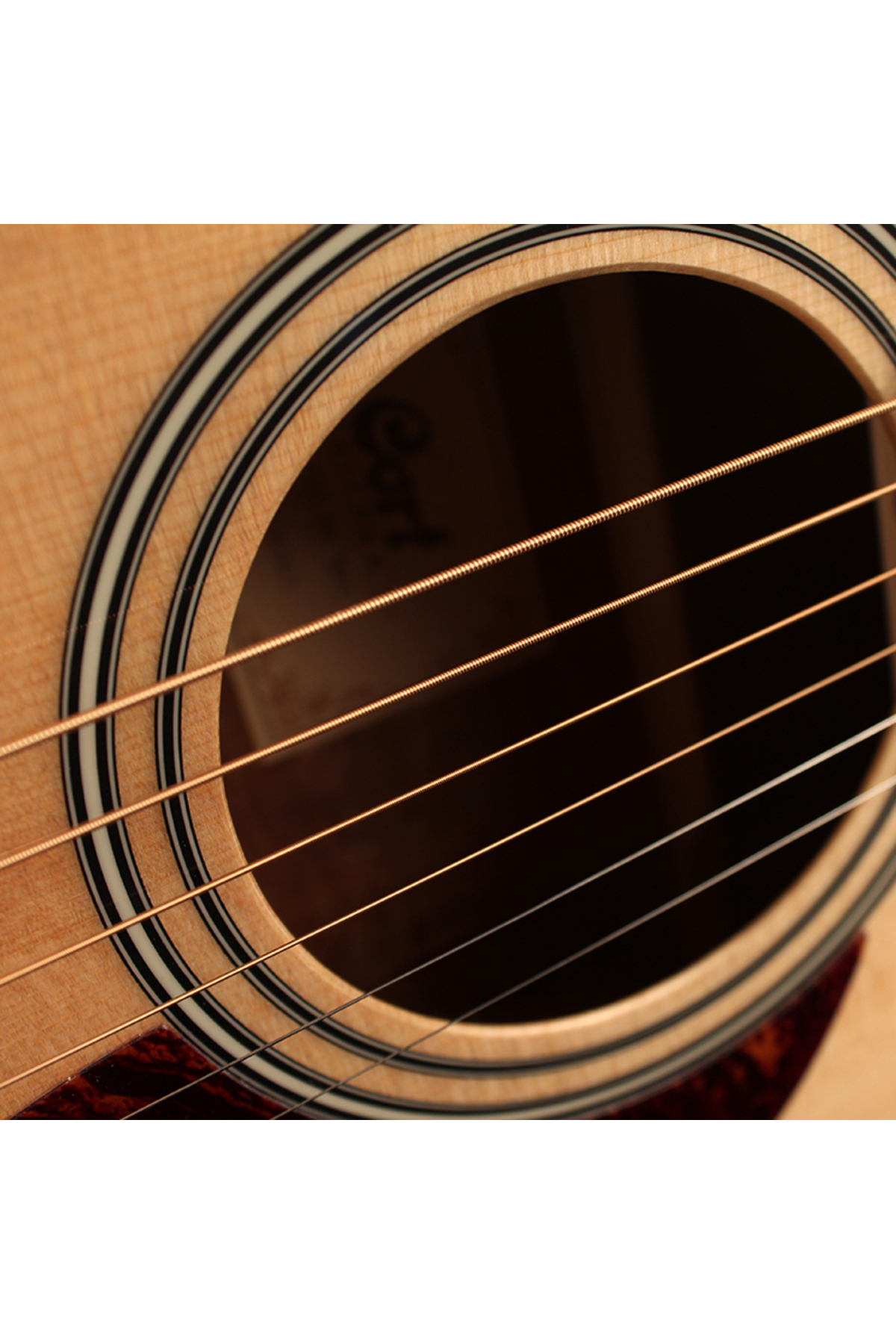 Cort Ad810op Akustik Gitar, Open Pore, Ladin Kapak, Arka &Yanla