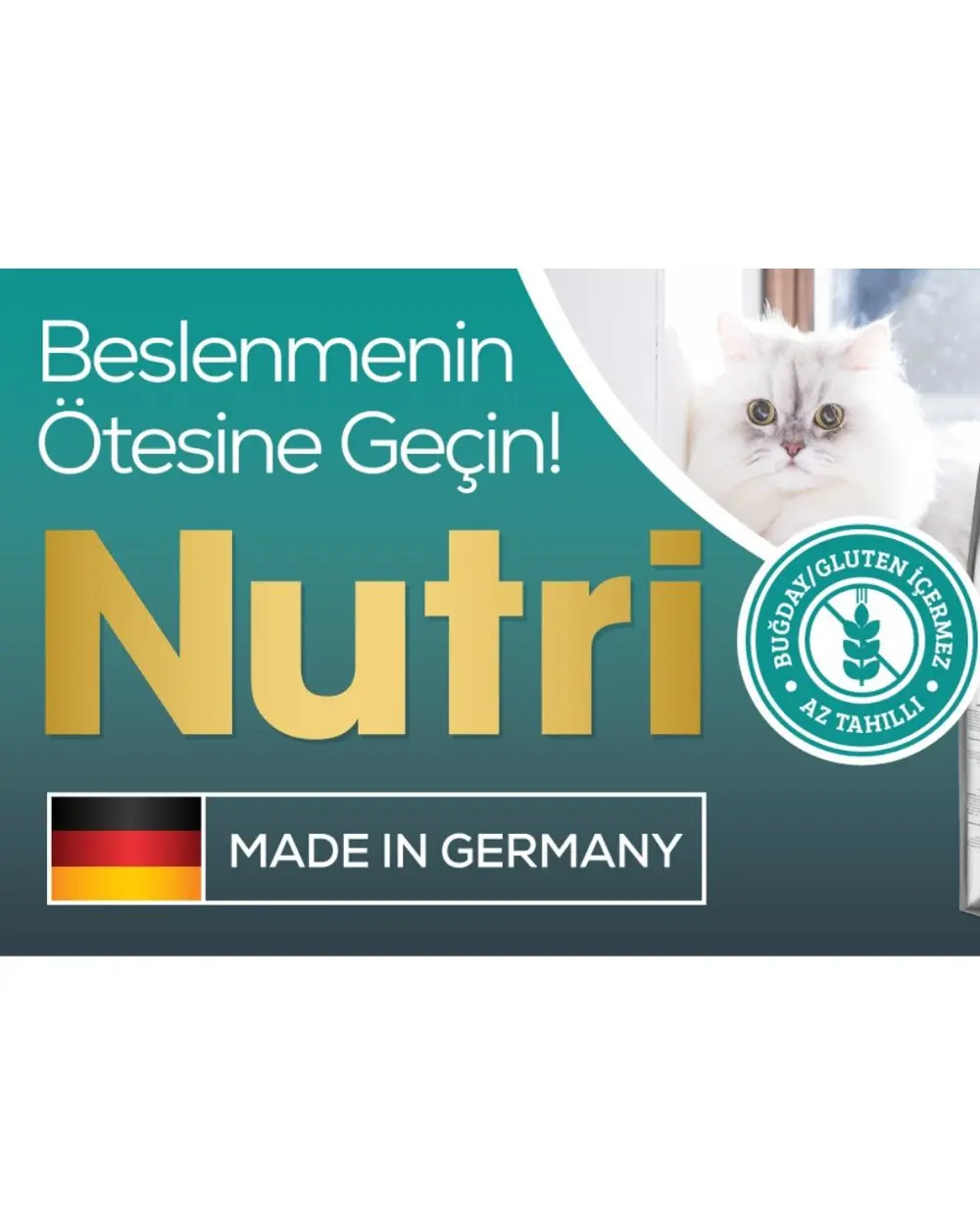 Adult Urinary Idrar Sağlığı Somonlu Yetişkin Kedi Maması 10 kg