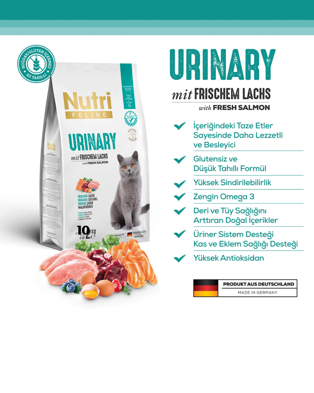 Adult Urinary Idrar Sağlığı Somonlu Yetişkin Kedi Maması 10 kg