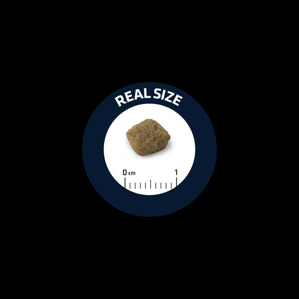 Advance Mini Senior 8+ Tavuklu Mini Yaşlı Köpek Maması 3 Kg