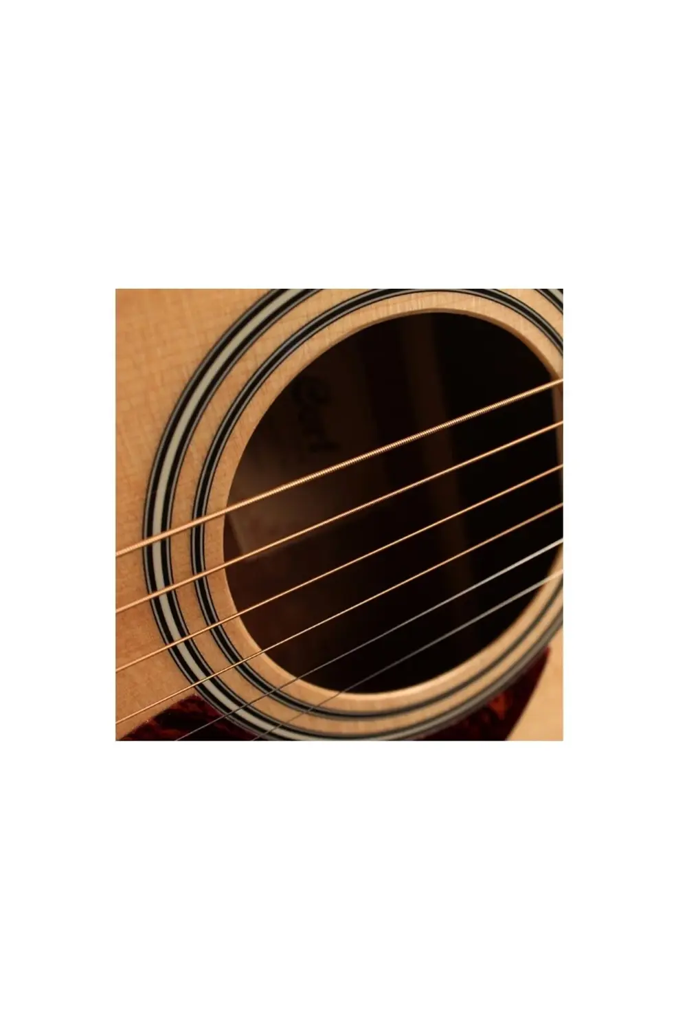 Cort Af510e-Opw Elektro Akustik Gitar, Kilifli