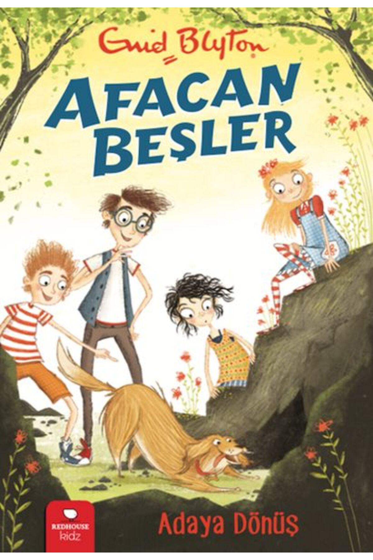 Destek Yayınları Afacan Beşler Adaya Dönüş