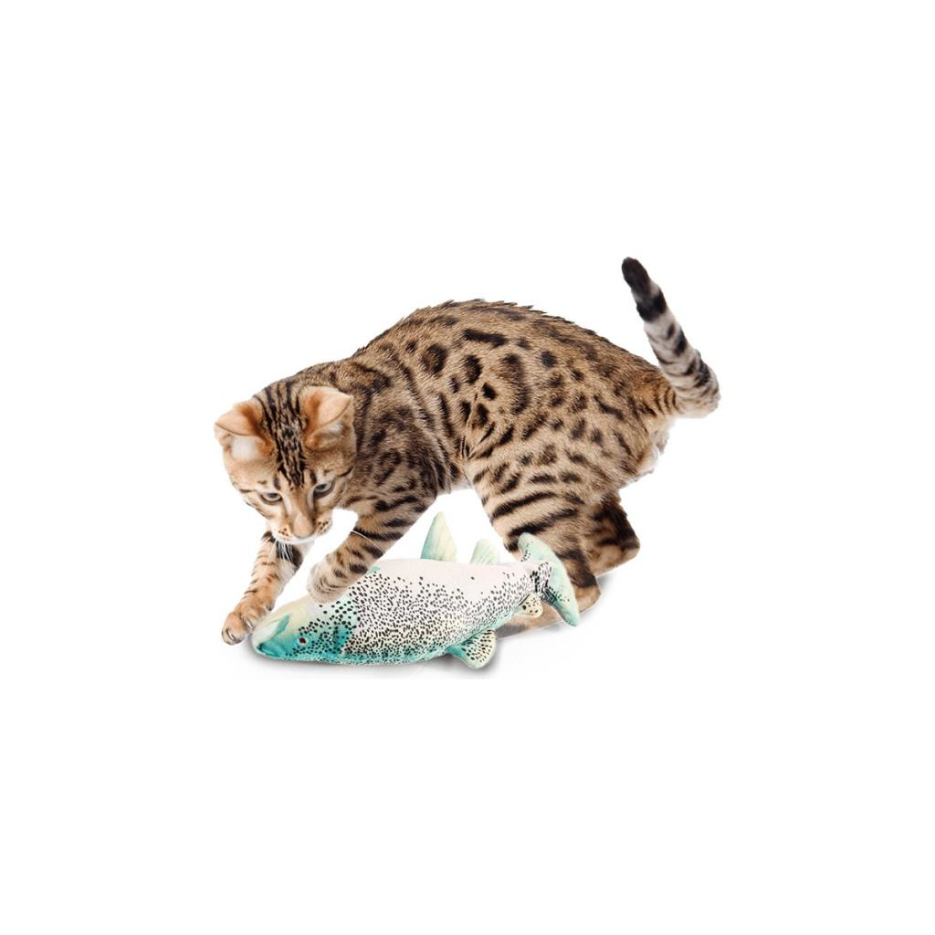 AFP Titreşimli Alabalık Catnip Gümüşasma 28x12x5,5 cm AFP Titreşimli Alabalık Catnip Gümüşasma 28x12x5,5 cm