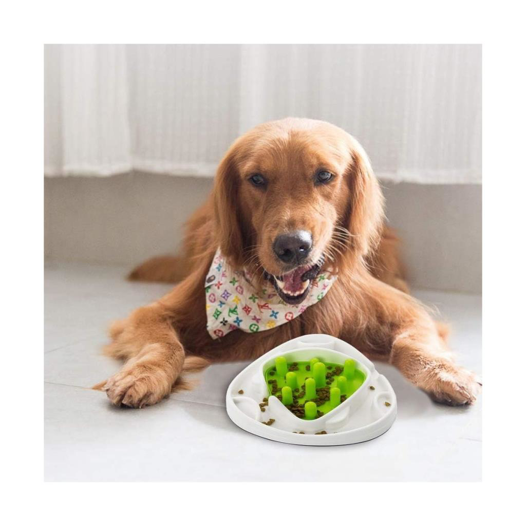 AFP Yavaşlatıcı Mama Kabı 28x28x8 cm