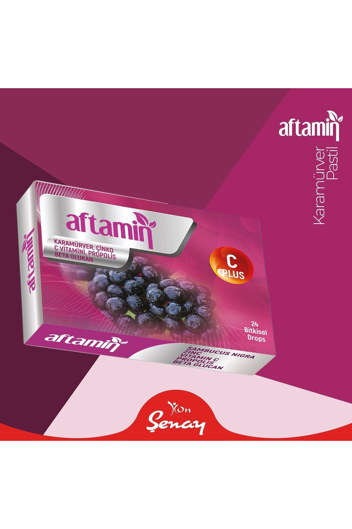 Aftamin Kara Mürver Pastil - 24 Adet
