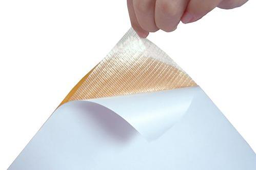 Evimdeyokyok Ağ Takviyeli Çift Tarafli Bant 100Cm X 10Mt (10M2) Tdrtr