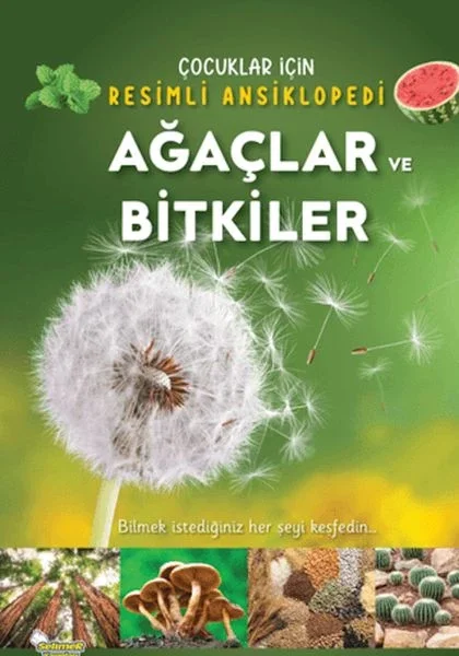 Ağaçlar ve Bitkiler Fiyatı, Yorumları ve Özellikleri
