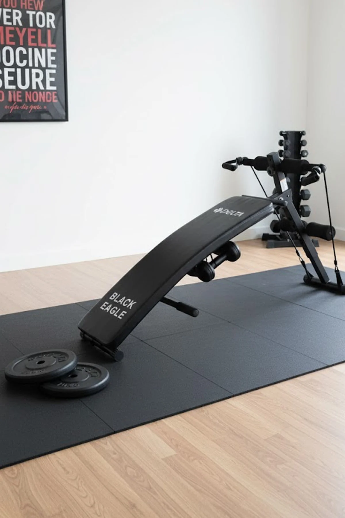 Ağırlık Sehpası Seti 10 Kg x 2 Adet Plaka Toplam 20 kg Direnç Egz